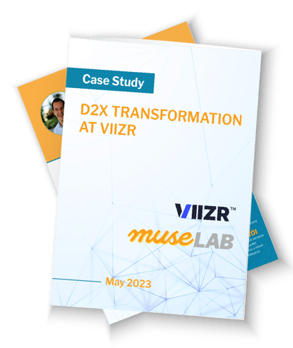 VIIZR Case Study Cover
