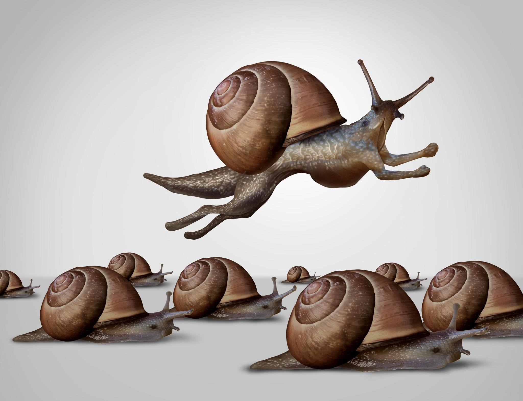 A flying snail